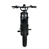 Electric Mountain Bike for Adults | 20 x 4.0 Fat Tires, 1000W Motor, 48V 20Ah Removable Battery, Max Speed 45MPH, Shi Mano 7-Speed for Off-Road Adventures