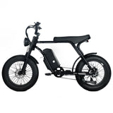Electric Mountain Bike for Adults | 20 x 4.0 Fat Tires, 1000W Motor, 48V 20Ah Removable Battery, Max Speed 45MPH, Shi Mano 7-Speed for Off-Road Adventures